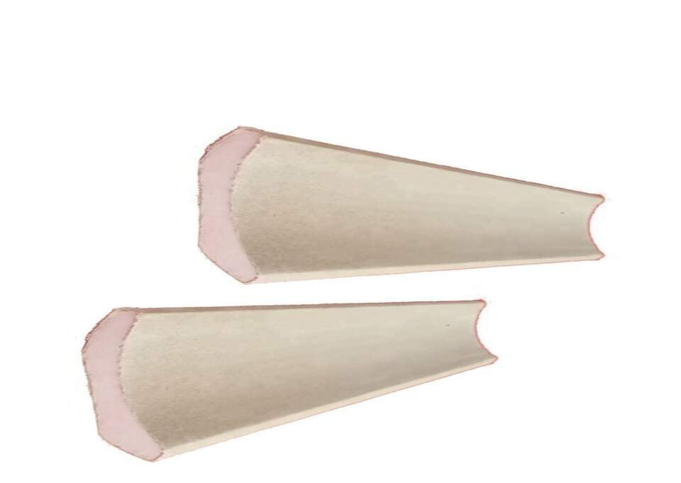 Rhino cornice